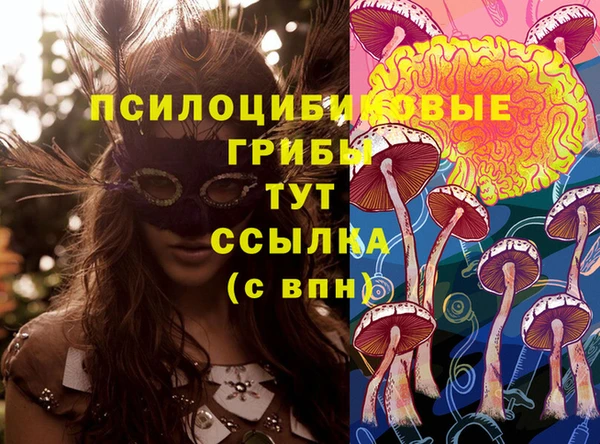 меф Аркадак