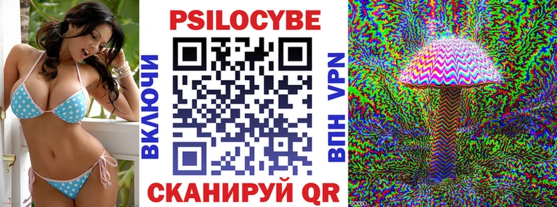 купить закладку  Калач-на-Дону  Галлюциногенные грибы мицелий 